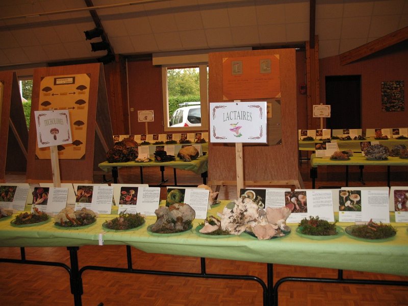 2009 10 Expo champignons de Clairefontaine 29